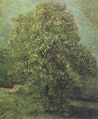 Vincent Van Gogh Chestnut Tree in Blosson (nn04) china oil painting image